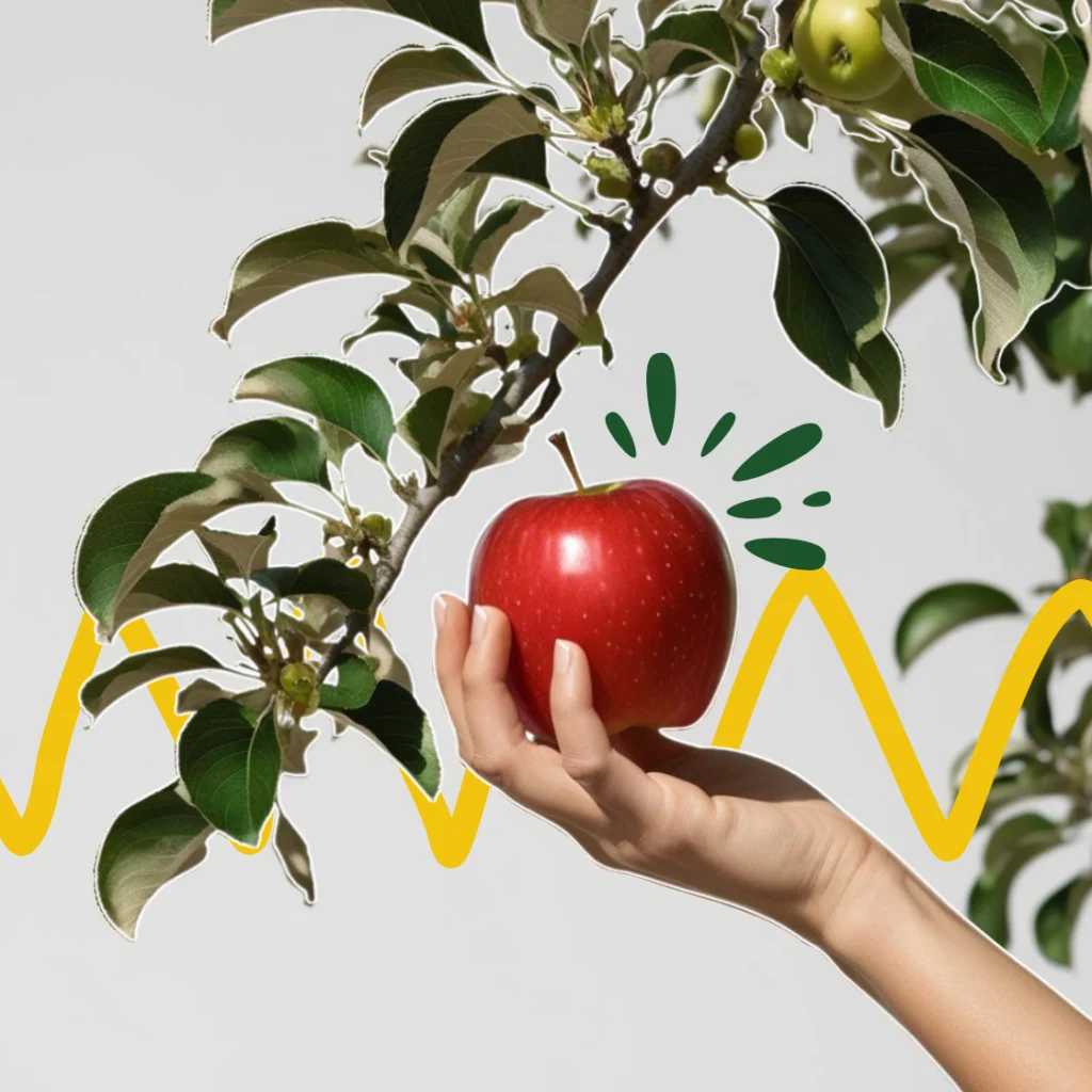 une main tenant une pomme